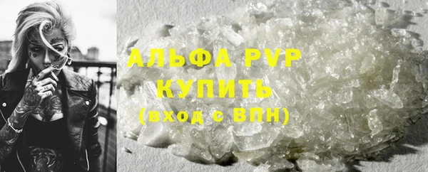 прущие крисы Аркадак
