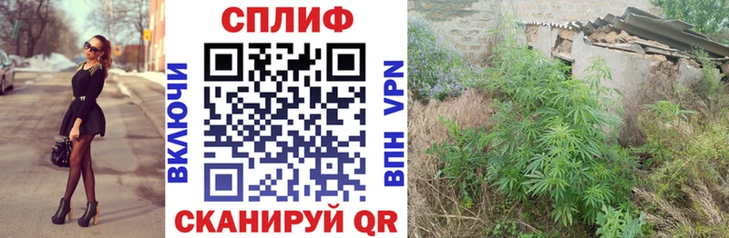Конопля тримм  ОМГ ОМГ как зайти  Кодинск 